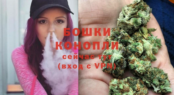 молекула духа Новокубанск