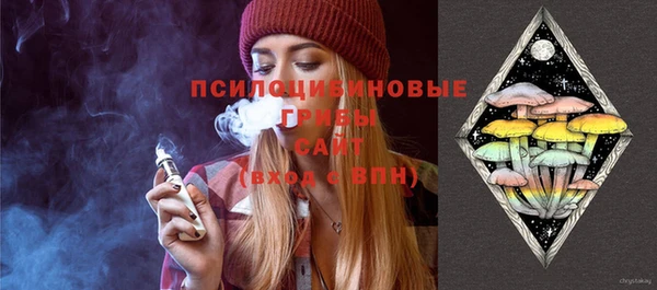 молекула духа Новокубанск