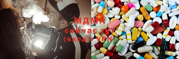 ECSTASY Бородино