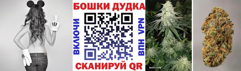Канабис индика  Калтан 